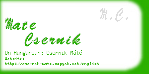 mate csernik business card